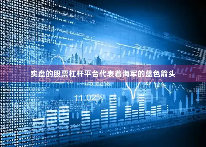 实盘的股票杠杆平台代表着海军的蓝色箭头